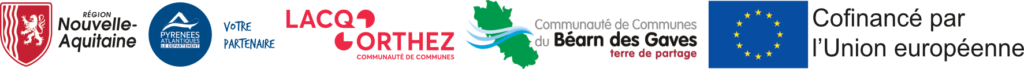 logos_financeurs_plie